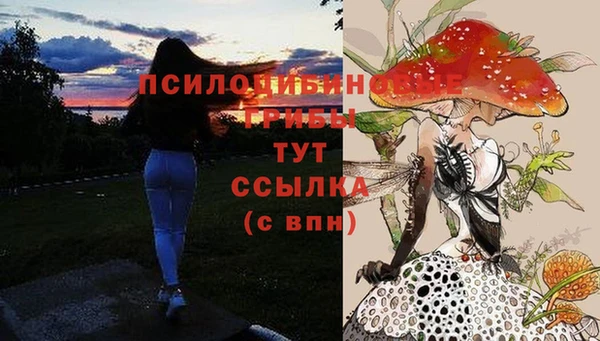 спиды Алексеевка