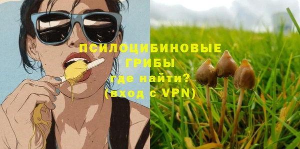 соль курить ск Алексин